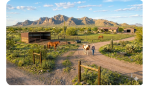 Horse Properties in Queen Creek Horse properties in Queen Creek