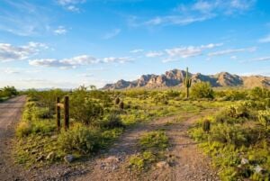 Vacant land for sale in Queen Creek, Arizona Vacant land for sale in Queen Creek, Arizona