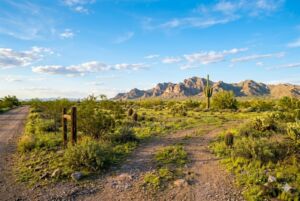Affordable real estate in queen creek
